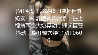 [MP4]STP28246 H罩杯巨乳奶霸！丰乳肥臀肉欲系！往上视角两个大奶晃动，翘起巨臀抖动，掰开骚穴特写 VIP0600