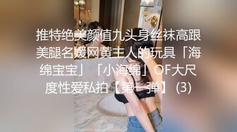 推特绝美颜值九头身丝袜高跟美腿名媛网黄主人的玩具「海绵宝宝」「小海绵」OF大尺度性爱私拍【第一弹】 (3)