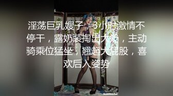 淫荡巨乳嫂子，3小时激情不停干，露奶装掏出大奶，主动骑乘位猛坐，翘起大屁股，喜欢后入姿势