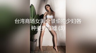 台湾商场女厕全景偷拍少妇各种姿势嘘嘘 (3)