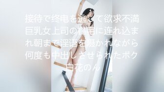 接待で终电を逃して欲求不満巨乳女上司の自宅に连れ込まれ朝まで淫语を嗫かれながら何度も中出しさせられたボク 白花のん