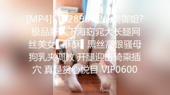 [MP4]STP28987 ?仙美御姐? 极品新人下海窈窕大长腿网丝美女▌酥酥▌黑丝高跟骚母狗乳夹调教 开腿迎击骑乘插穴 真是赏心悦目 VIP0600