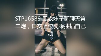 STP16589 黑衣妹子聊聊天第二炮，口交上位骑乘抽插自己动