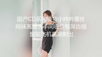 国产CD系列骚货小吟吟蕾丝网袜高跟洗手间吸盘假屌自插 窗前飞机高潮射出