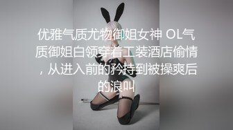 优雅气质尤物御姐女神 OL气质御姐白领穿着工装酒店偷情，从进入前的矜持到被操爽后的浪叫