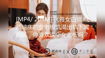 [MP4/ 203M] 优雅女白领 气质端庄的女老板饥渴出轨下属司机，你喜欢这个女老板吗？