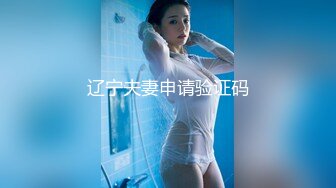 辽宁夫妻申请验证码