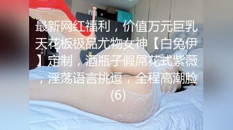 最新网红福利，价值万元巨乳天花板极品尤物女神【白兔伊】定制，酒瓶子假屌花式紫薇，淫荡语言挑逗，全程高潮脸 (6)