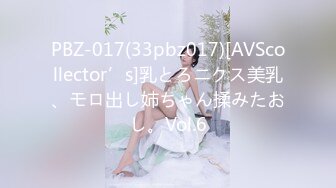 PBZ-017(33pbz017)[AVScollector’s]乳とろニクス美乳、モロ出し姉ちゃん揉みたおし。Vol.6