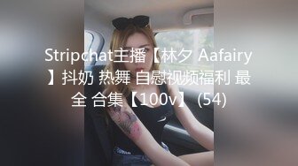 Stripchat主播【林夕 Aafairy】抖奶 热舞 自慰视频福利 最全 合集【100v】 (54)