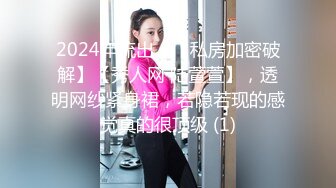 2024年流出，【私房加密破解】【秀人网 陆萱萱】，透明网纱紧身裙，若隐若现的感觉真的很顶级 (1)