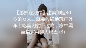 【彤姨在线中】甜美御姐30岁的女人，就要放肆地玩户外车上吃鸡内射不过瘾，家中黑丝情趣再迎大鸡巴 (3)