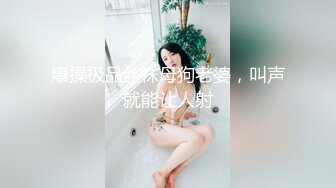 爆操极品丝袜母狗老婆，叫声就能让人射